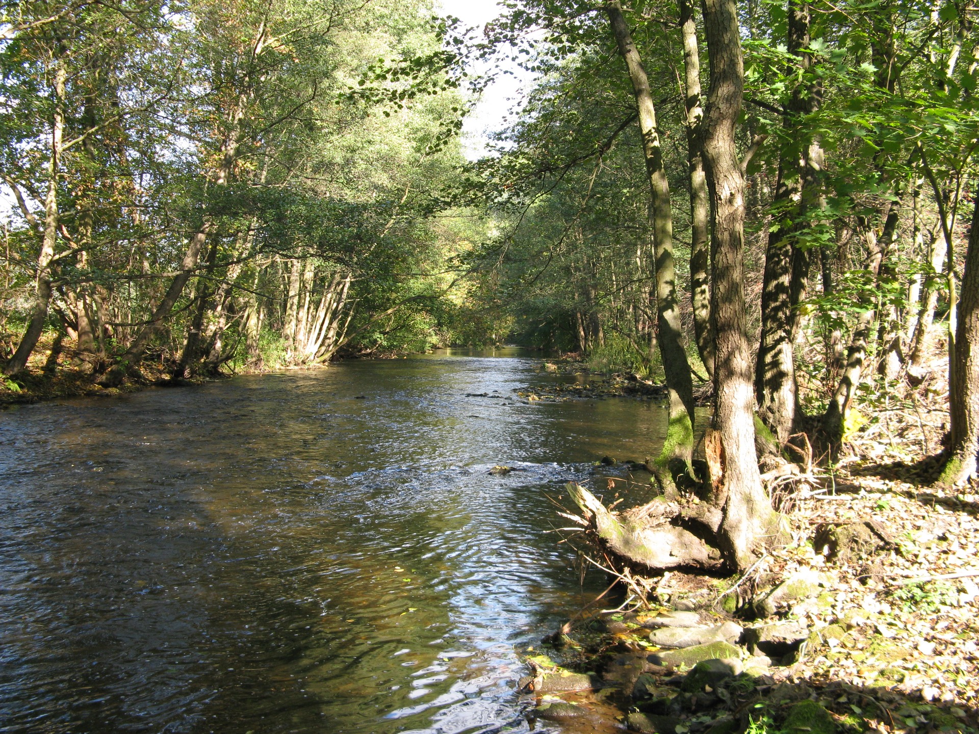 Svratka pod Stavskou